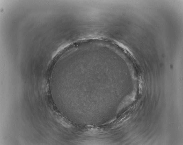 X0000066511160200603241259