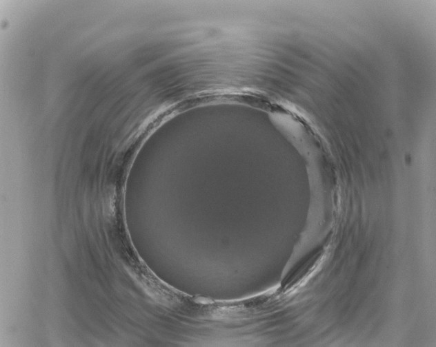 X0000066511161200603241259