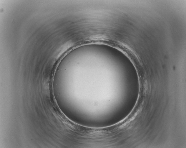 X0000066511162200603241259