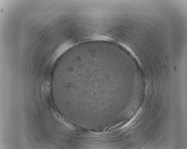 X0000066511163200603241259