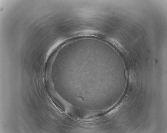 X0000066511164200603241259