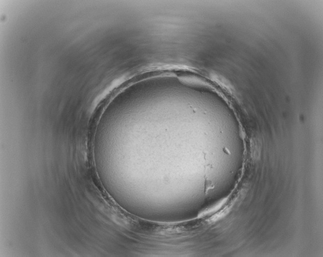 X0000066511165200603241259