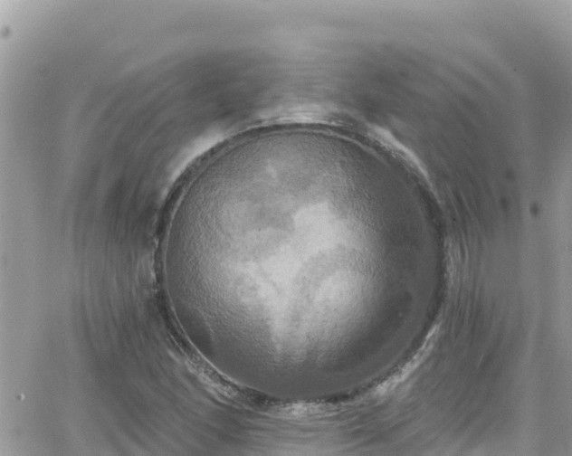 X0000066511166200603241259