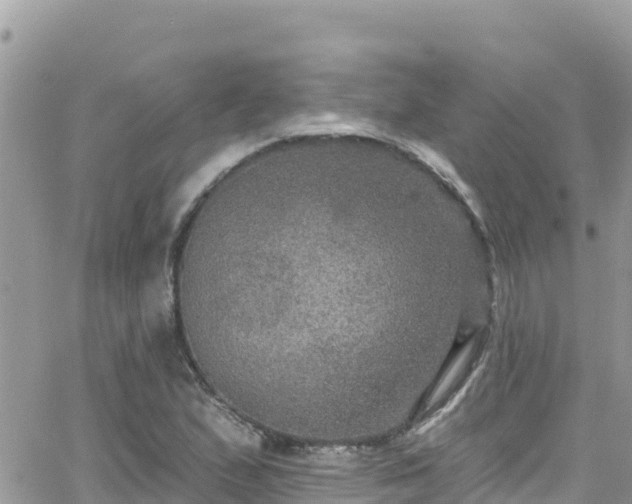 X0000066511167200603241259