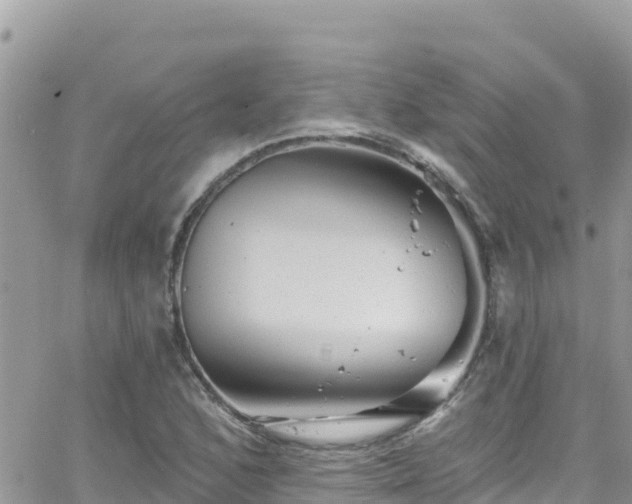 X0000066511168200603241259