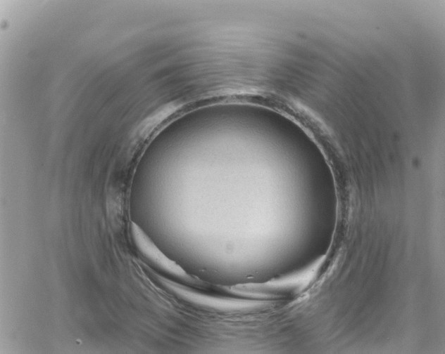 X0000066511169200603241259