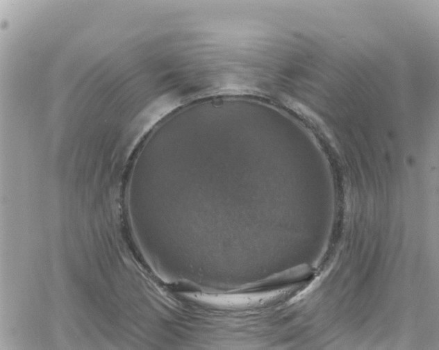 X0000066511170200603241259