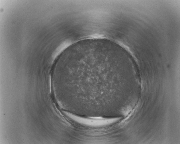 X0000066511171200603241259