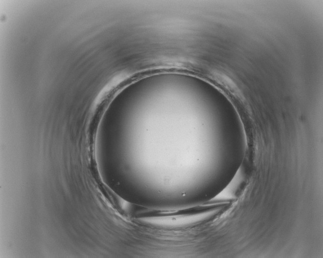 X0000066511172200603241259