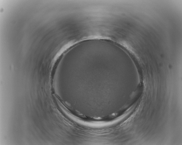 X0000066511173200603241259