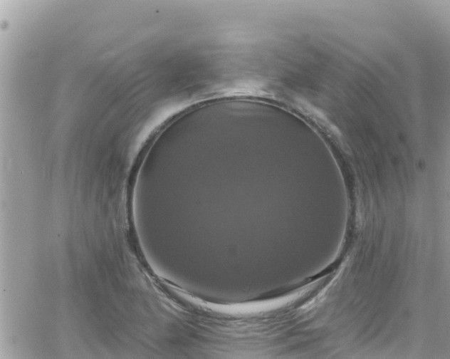 X0000066511174200603241259