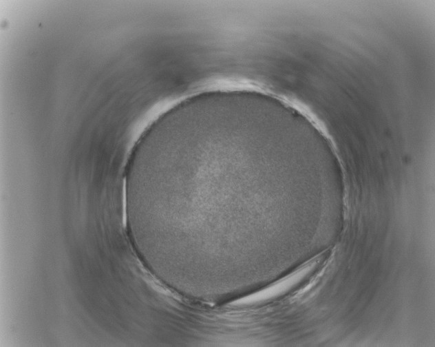 X0000066511175200603241259