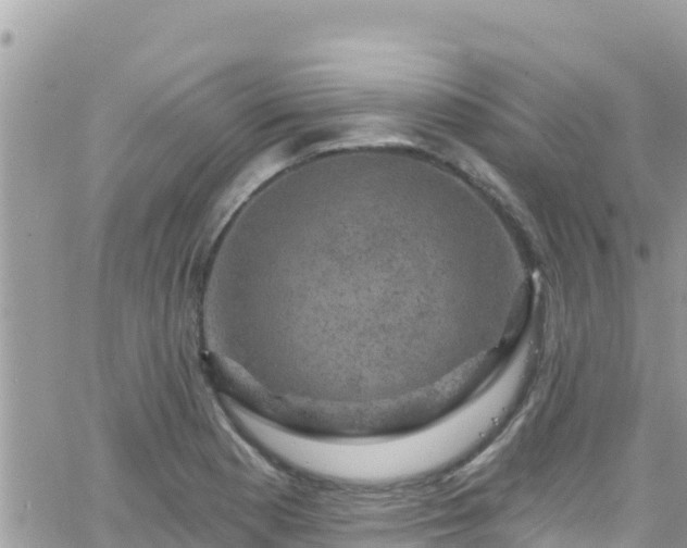 X0000066511177200603241259