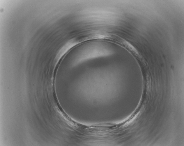 X0000066511178200603241259