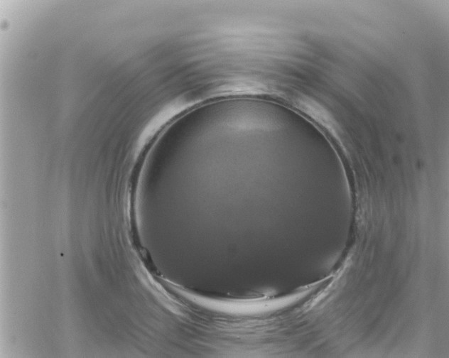 X0000066511179200603241259