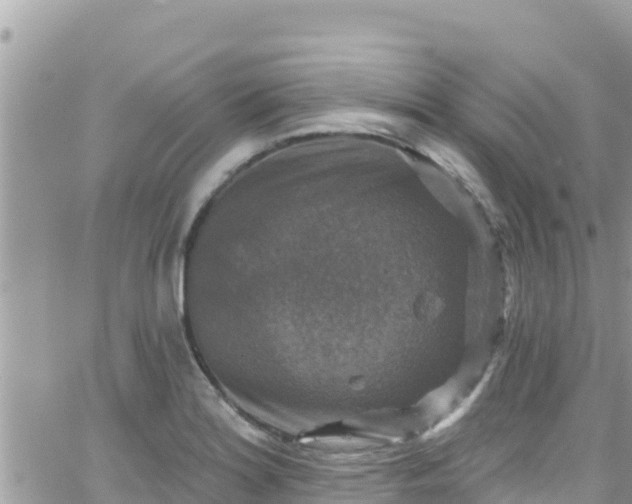 X0000066511180200603241259