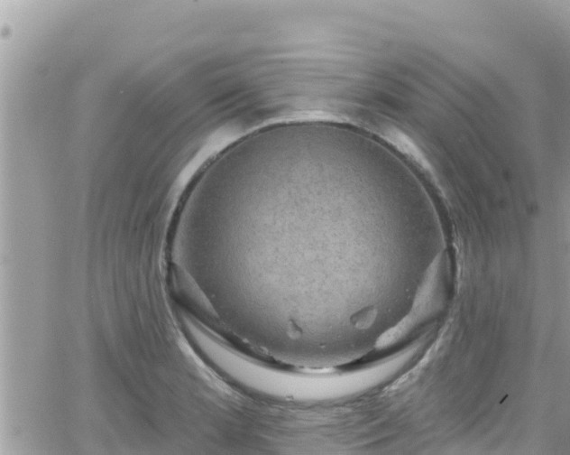 X0000066511181200603241259