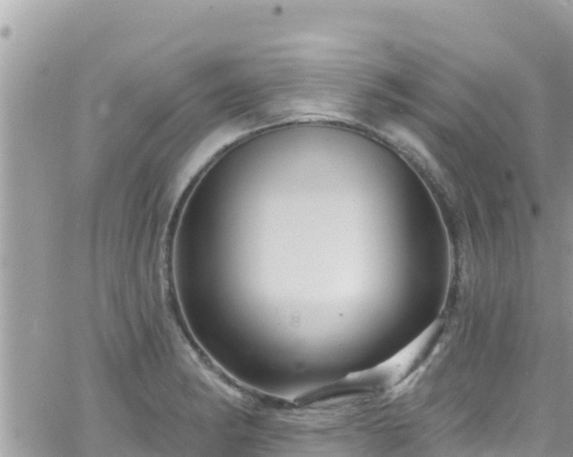 X0000066511182200603241259