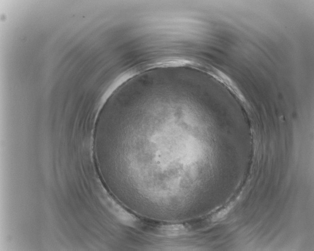 X0000066511186200603241259