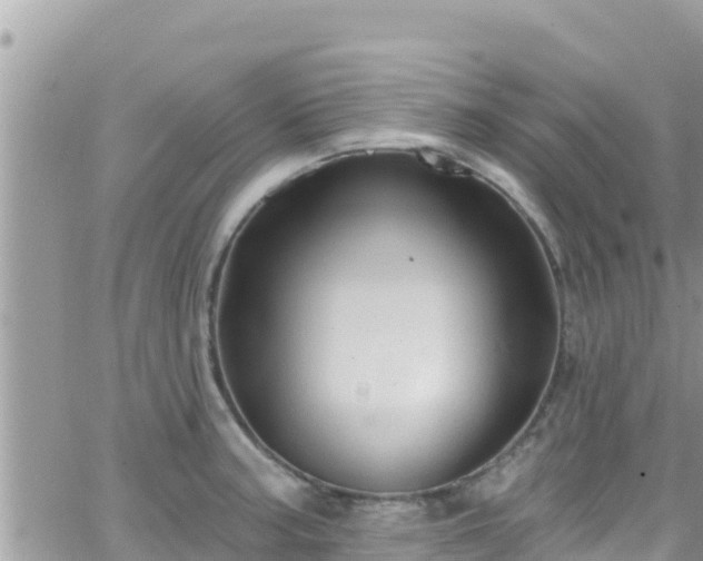 X0000066511187200603241259