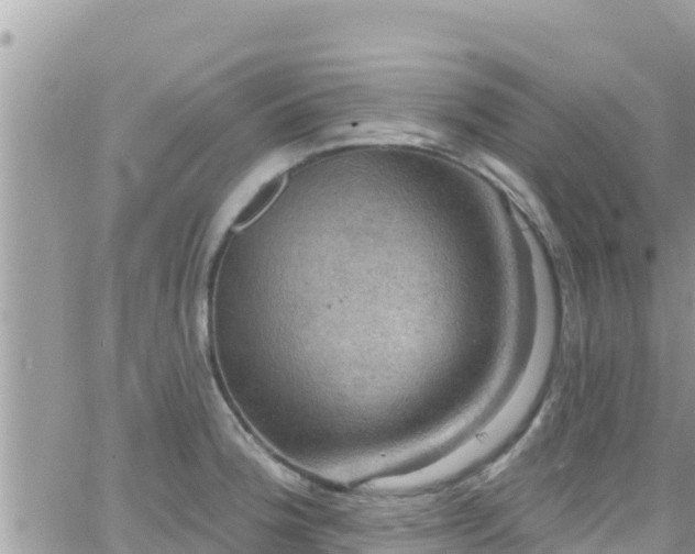 X0000066511188200603241259