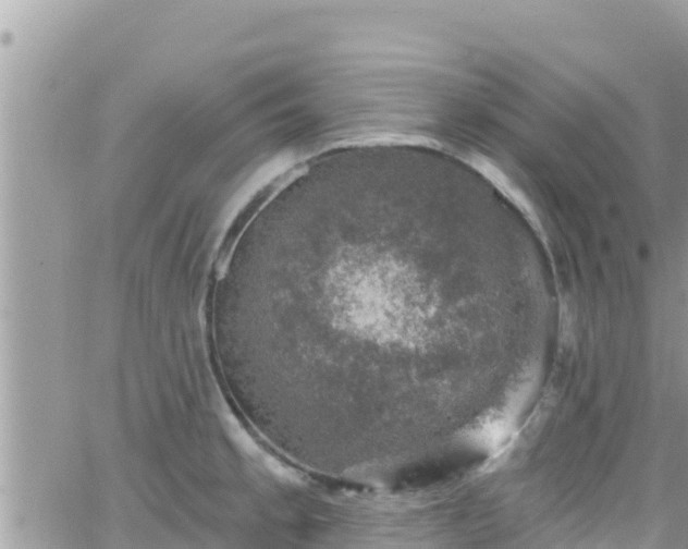 X0000066511189200603241259