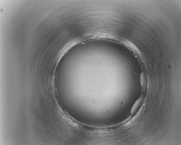 X0000066511190200603241259