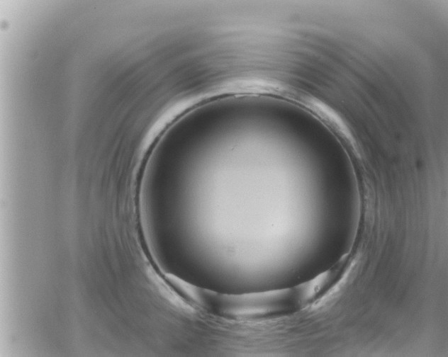 X0000066511192200603241259