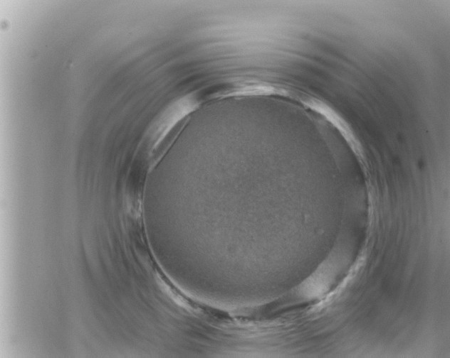 X0000066511193200603241259