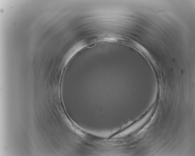 X0000066511194200603241259