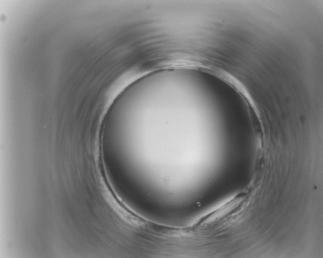 X0000066511195200603241259