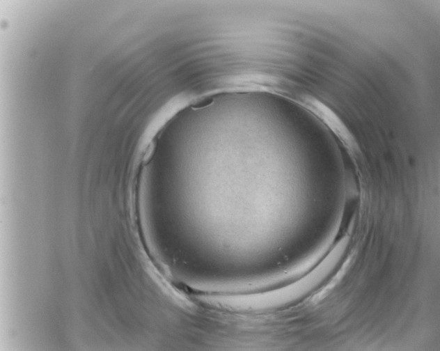 X0000066511196200603241259