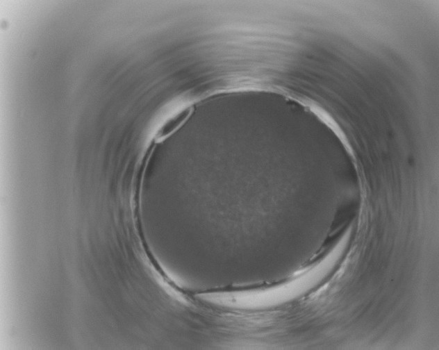 X0000066511197200603241259