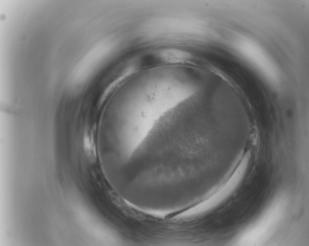 X0000066511198200603241259