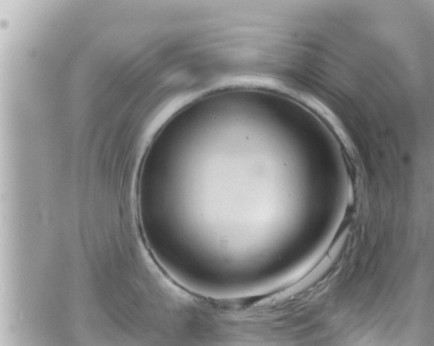 X0000066511199200603241259