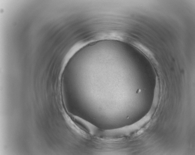 X0000066511200200603241259