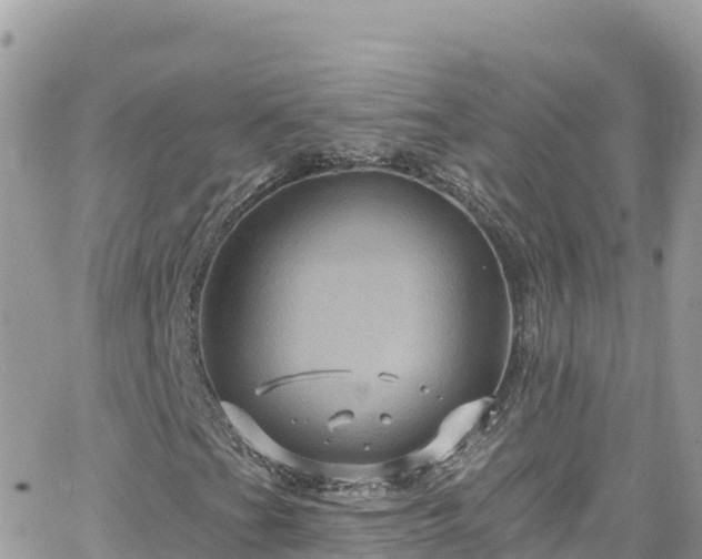 X0000066511201200603241258