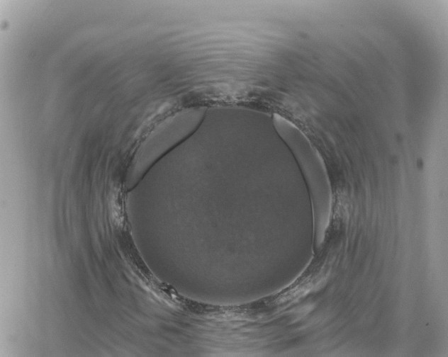 X0000066511202200603241258