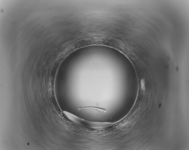 X0000066511203200603241258