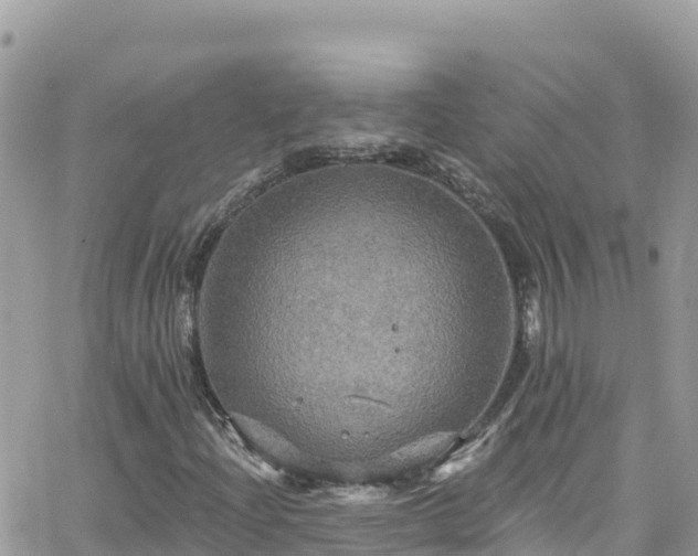 X0000066511204200603241258