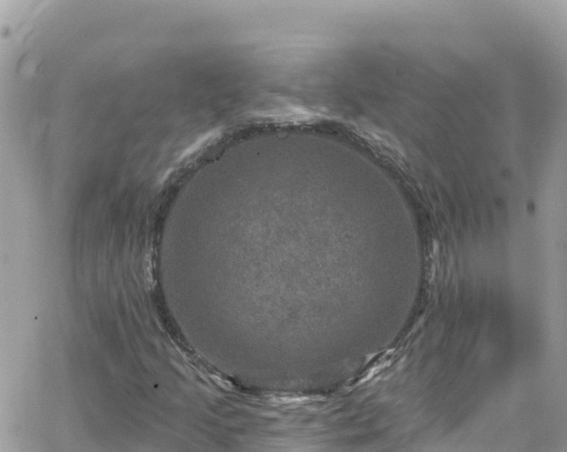 X0000066511205200603241258