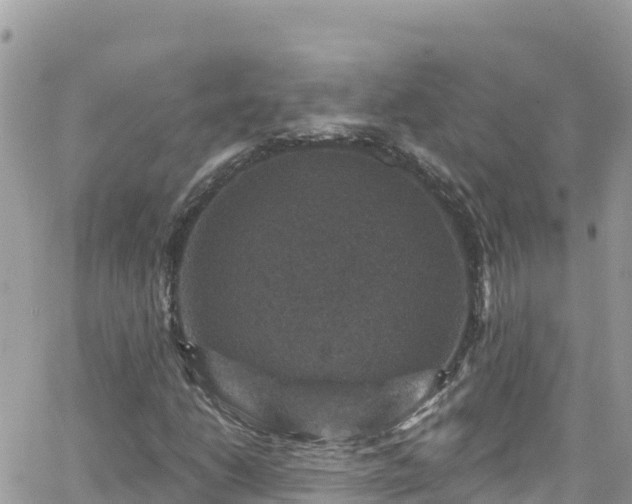 X0000066511206200603241258