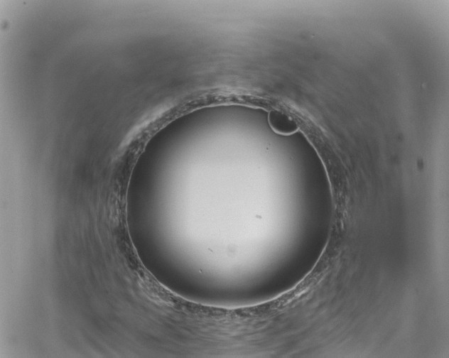 X0000066511207200603241258