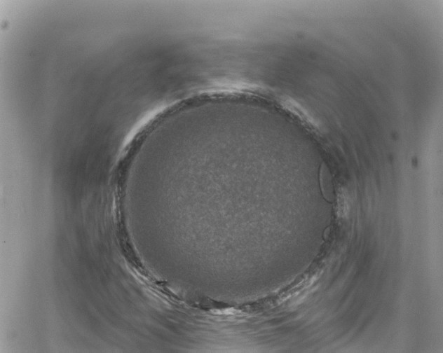 X0000066511208200603241258