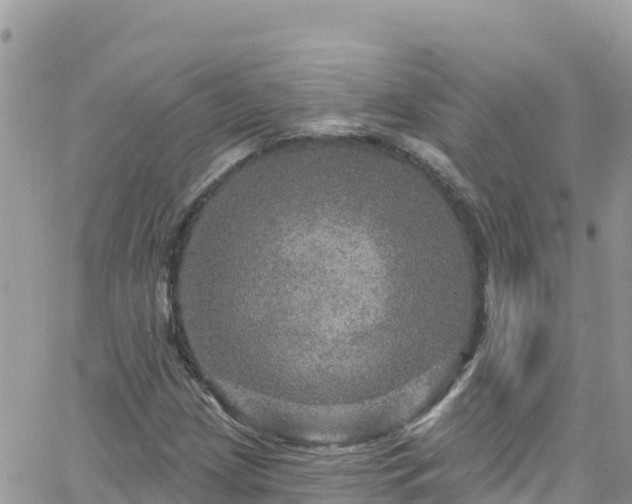 X0000066511209200603241258