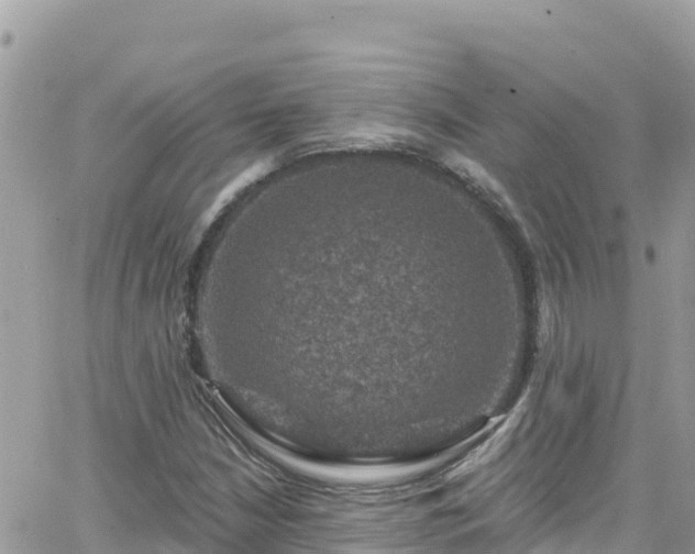 X0000066511210200603241258