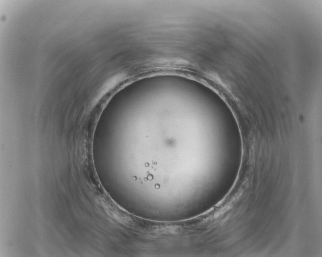 X0000066511211200603241258