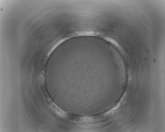 X0000066511212200603241258