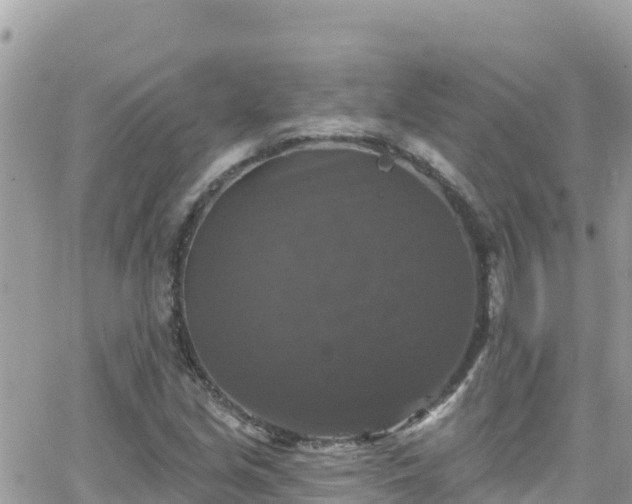 X0000066511213200603241258