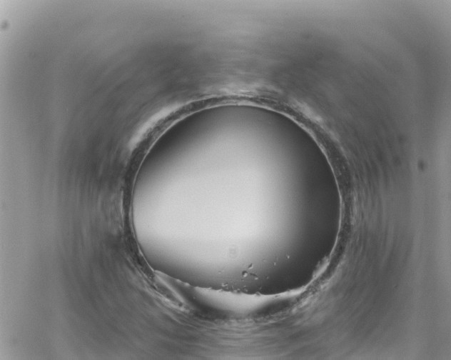 X0000066511214200603241258